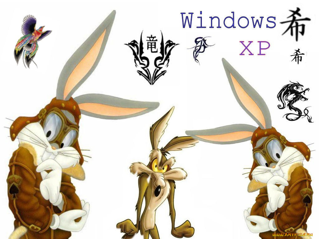 , windows, xp